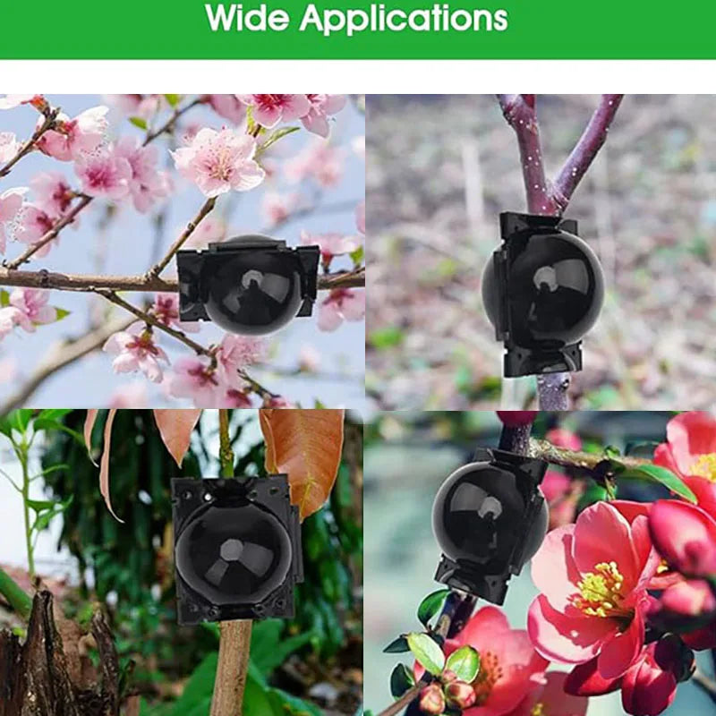 Plant Rooting Ball High Pressure Graft Breeding Case Nursery Box Propagation Plant Root Pot Garden Accessories