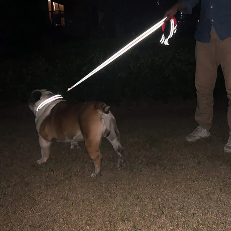 Arnés para perros y gatos, correa de plomo con reflexión nocturna, cuerda de remolque para mascotas de 1,2/1,5/1,8 m, cuerda de protección, correa de entrenamiento para caminar.