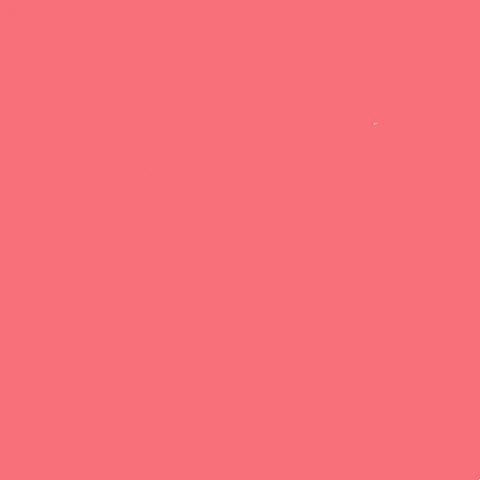 48262545998122|48262546096426|48262546161962