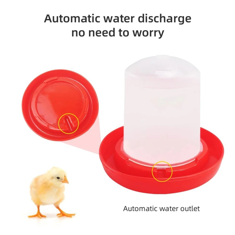 Chick Feeder Waterer Durable Plastic Feeding for Up to 6 Chicks At Once