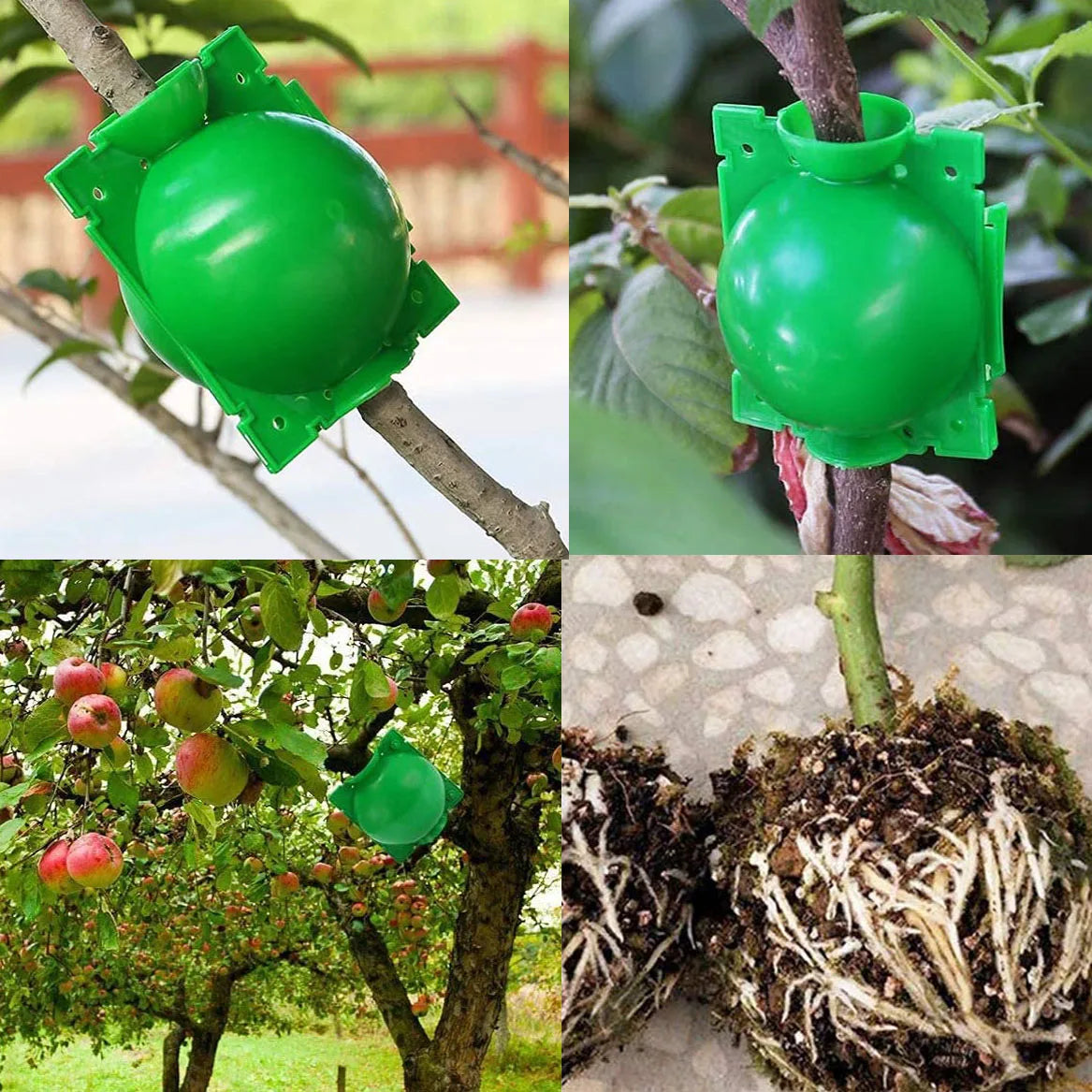 Plant Rooting Ball High Pressure Graft Breeding Case Nursery Box Propagation Plant Root Pot Garden Accessories