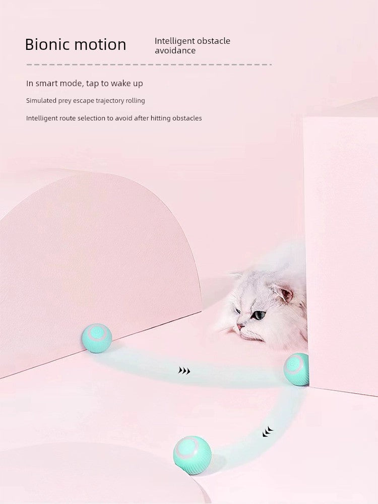 Juguete eléctrico para gatos con congestión nasal