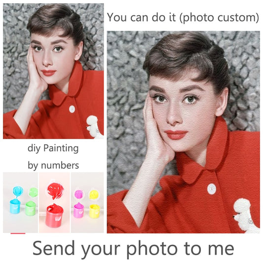 Personality Photo Customized DIY Painting By Numbers Picture Drawing Coloring by Numbers Acrylic cat adult no frame